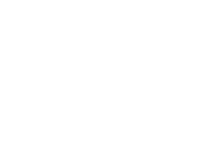 Shop Inventory